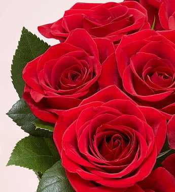 1-800-Flowers Two Dozen Red Roses with Red Vase