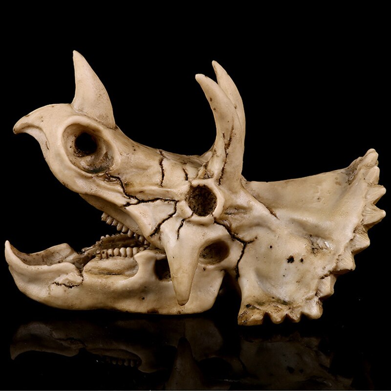 Triceratops Skull Bone Animal Model Jurassic dragon Dinosaur fossil skeleton
